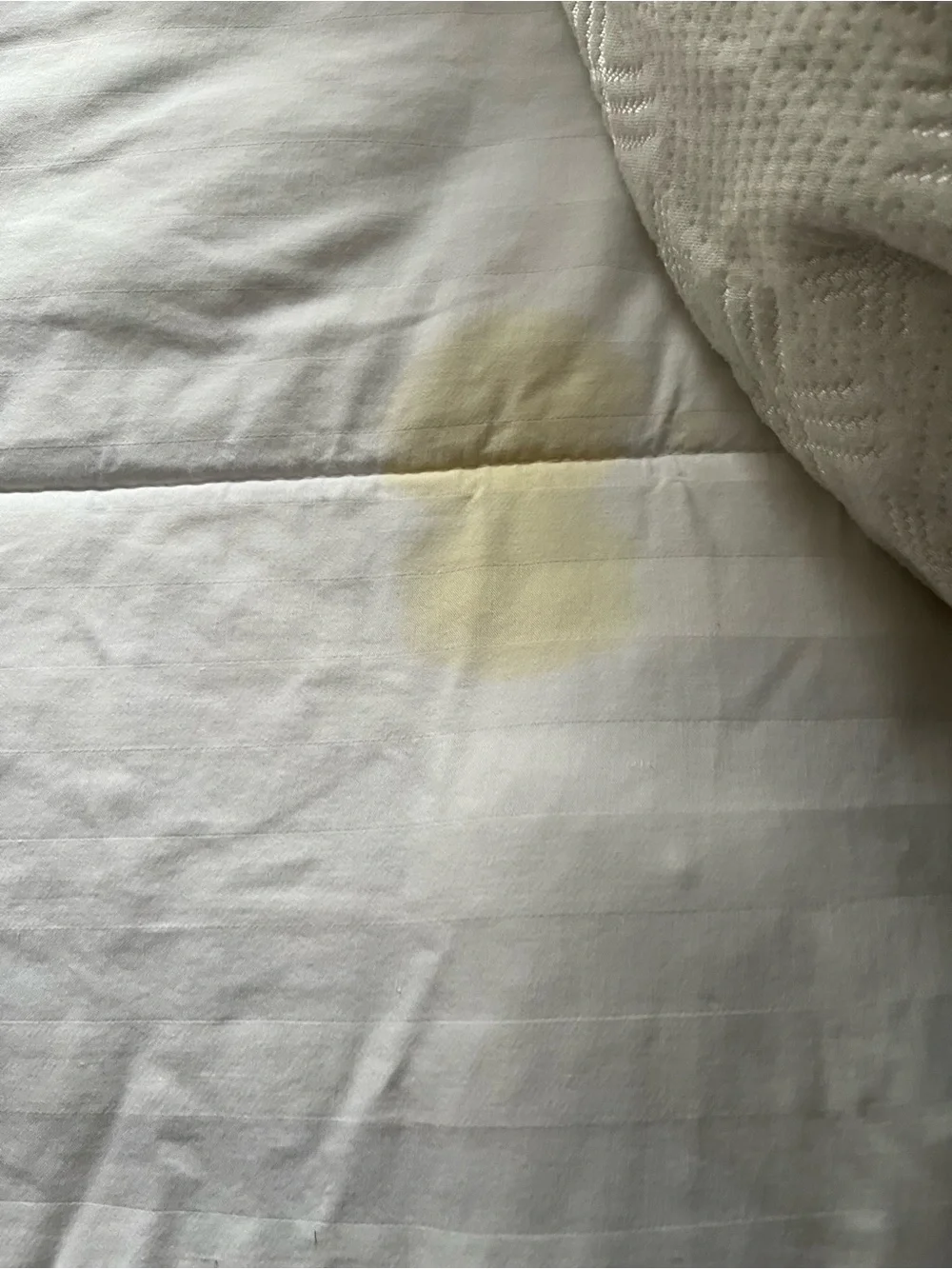 Real Simple White comforter only w/ Flaws